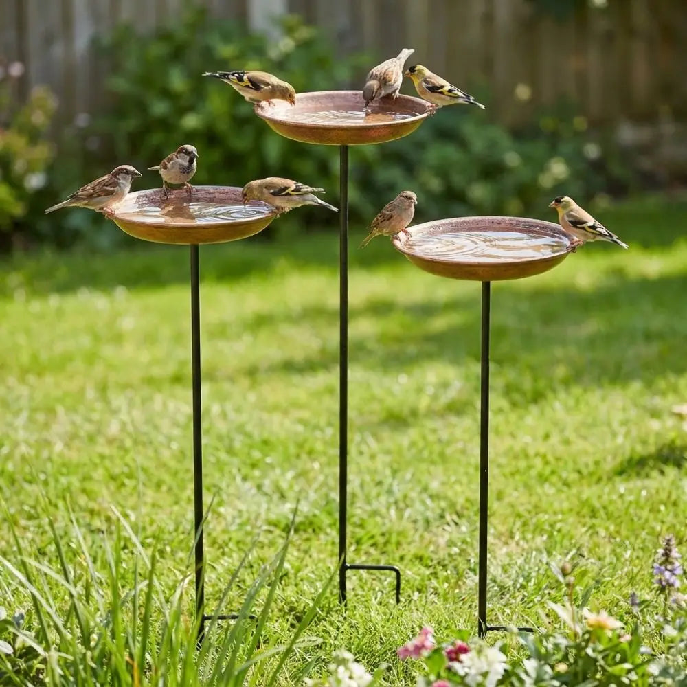 Bird Baths & Feeders