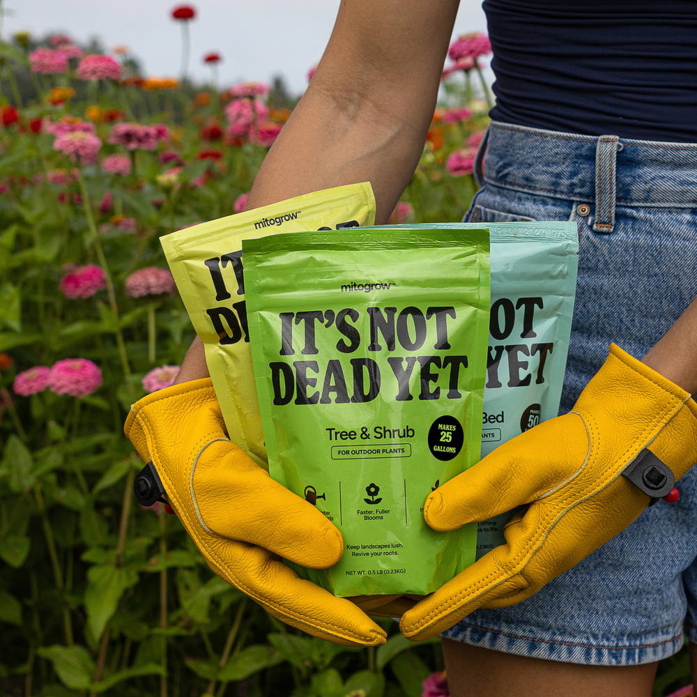 Soil & Fertilizer