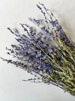 Dried Salvia