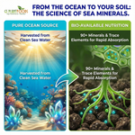 Ocean Magic Sea Minerals