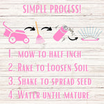 Creeping Thyme Easy Spread Shaker