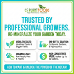 Ocean Magic Sea Minerals