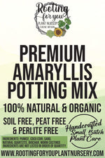 Amaryllis Premium Potting Mix