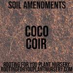 Hydrated Coco Coir Soil Amendment 8oz Volume Resealable Bags Organic - Oregon Licensed Nursery - Measured in 8oz Volume 6x9x3 Bag