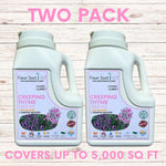 Creeping Thyme Easy Spread Shaker