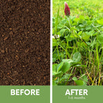 Crimson Clover + Mow Less Grass Seed