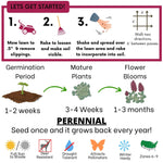 Crimson Clover + Mow Less Grass Seed