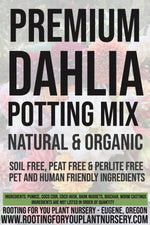 DAHLIA Premium Potting Mix