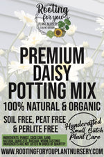 Daisy Premium Potting Mix