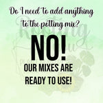 Blackberry / Marionberry Premium Potting Mix