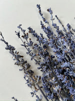 Dried Salvia