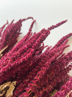 Dried Amaranth Burgundy