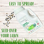 Thick Bee Lawn Seed Kit