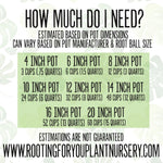 CACTUS & SUCCULENT Premium Potting Mix
