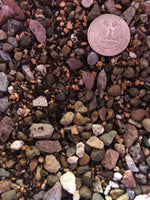 CACTUS & SUCCULENT Premium Potting Mix
