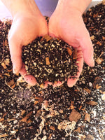 ANTHURIUM Premium Potting Mix
