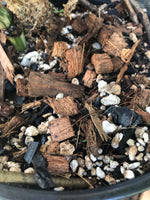 Premium Tropical Houseplant Potting Mix - General Purpose For Tropical Houseplants