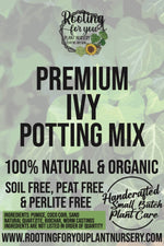 Ivy Premium Potting Mix