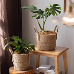 French Country Woven Planter Basket