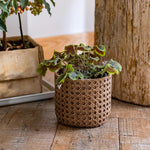 Rattan Texture Cement Planter