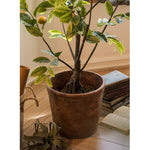 Large Terracotta Red Concrete Planter Pot