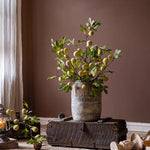 Wild Garden Faux Fig Stem 35.4" Tall