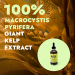 Ocean Made Kelp Drops | Plant Growth Concentrate