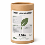 Green Lacewing Eggs