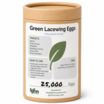 Green Lacewing Eggs
