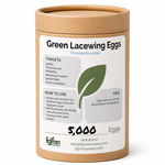 Green Lacewing Eggs
