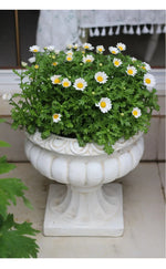 Large European Style Flower Pots
