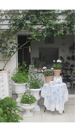 Large European Style Flower Pots