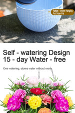 Hanging Planter for Plants & Flowers