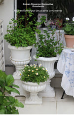 Large European Style Flower Pots