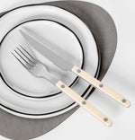 Fashionable Design Top Mirror Polishing Cutlery Sets Stainless Steel 18/8(304) ABS Handle With Rivets Silverware Set For Kitchen