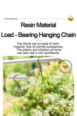 Hanging Planter for Plants & Flowers