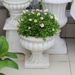 Large European Style Flower Pots