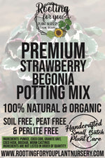 Strawberry Begonia Premium Potting Mix