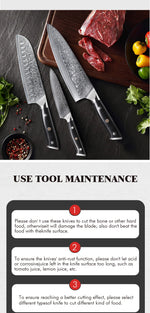 TURWHO 1PC-3PCS Professional Kitchen Knives Set Utility Santoku Chef Knife Japanese 67 Layer Damascus Steel G10 Handles Gift Box