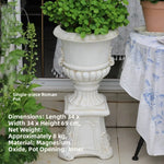 Large European Style Flower Pots