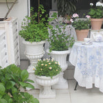 Large European Style Flower Pots