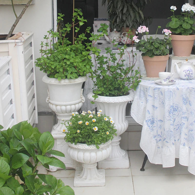 Large European Style Flower Pots