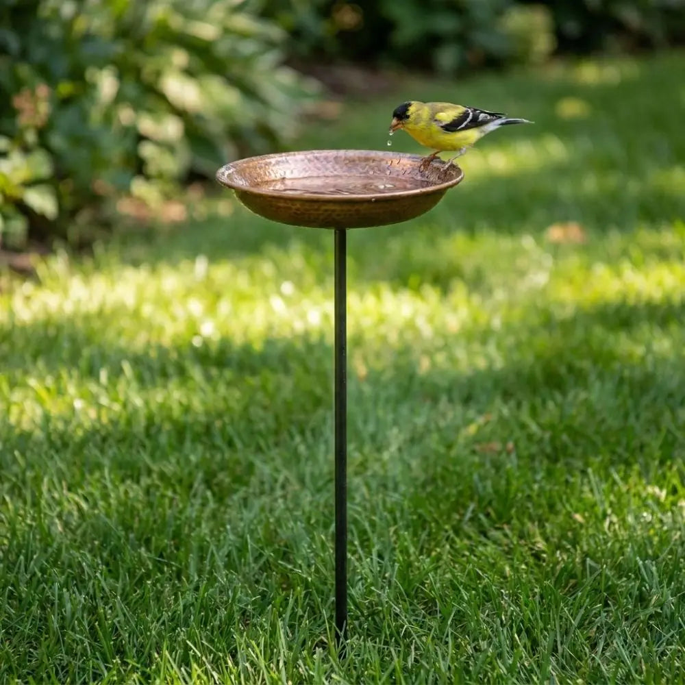 Metal Bird Feeder Iron Art Outdoor Bird Bath Wide-Mouth Rust-resistant Bird Water Drinker