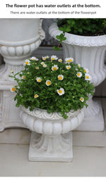 Large European Style Flower Pots