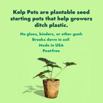Ocean Made Kelp Pots | 3" Round