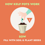 Ocean Made Kelp Pots | 3" Round