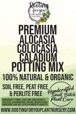 Alocasia - Colocasia - Caladium Premium Potting Mix