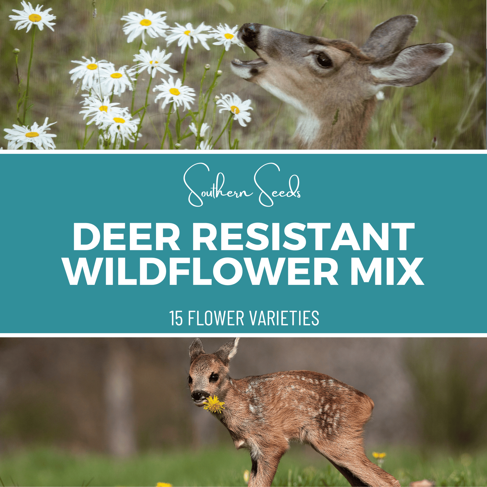 Deer Resistant Wildflower Seed Mix (15 Varieties) – 1,000 Seeds