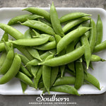 Sugar Snap Peas – 20 Seeds