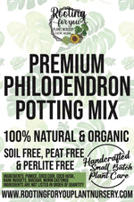 Philodendron Premium Potting Mix